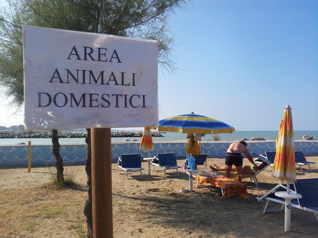 Hotel Paloma Beach Front Chiringuitos Time リミニ エクステリア 写真